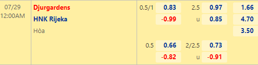 Nhận định bóng đá Djurgardens vs Rijeka, 00h00 ngày 29/07: Europa Conference League