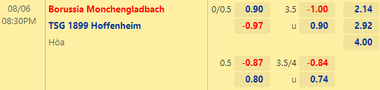 Nhận định bóng đá Monchengladbach vs Hoffenheim, 20h30 ngày 06/08: VĐQG Đức