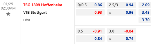 Nhận định bóng đá Hoffenheim vs Stuttgart, 02h30 ngày 25/01: VĐQG Đức