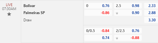 Nhận định bóng đá Bolivar vs Palmeiras, 07h30 ngày 06/04: Copa Libertadores