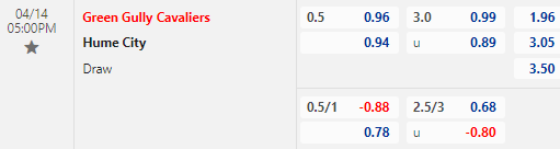 Nhận định bóng đá Green Gully vs Hume City, 17h00 ngày 14/04: VĐ Bang Victoria, Úc