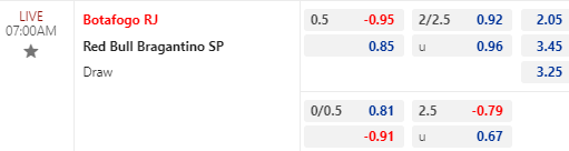 Nhận định bóng đá Botafogo RJ vs RB Bragantino, 07h00 ngày 16/07: VĐQG Brazil