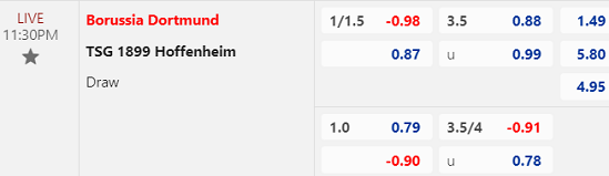 Nhận định bóng đá Dortmund vs Hoffenheim, 23h30 ngày 25/2: VĐQG Đức