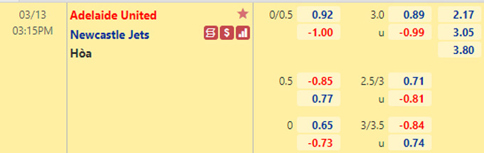 Nhận định bóng đá Adelaide Utd vs Newcastle Jets, 15h15 ngày 13/3: VĐQG Nhật Bản